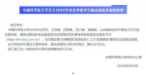 头条面试分数,揭秘高分数背后的关键要素”