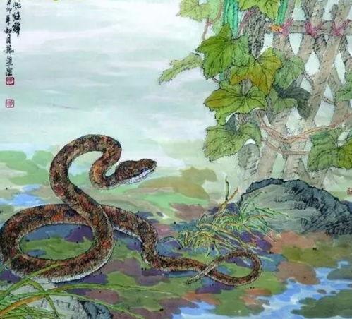 头条为什么不能有蛇,为何禁止蛇类生物生成