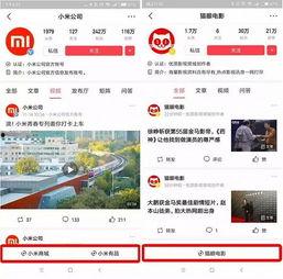 长春头条小程序报价,揭秘热门应用的成本构成