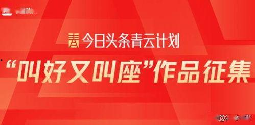 头条上的青云计划,助力新媒体创作者实现梦想的孵化平台