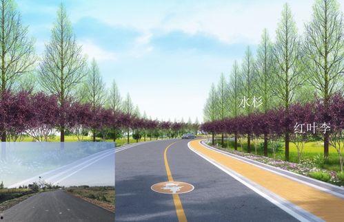 一周网红路,揭秘网络红人的崛起与蜕变