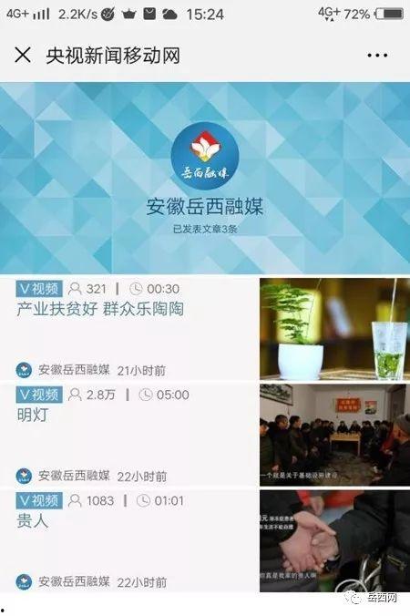 岳西县头条新闻,聚焦乡村振兴，共绘美好家园新画卷