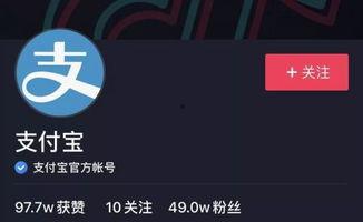 抖音网红怎么加盟的,揭秘网红经济新风口