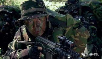 退役特种兵爆料视频大全,震撼爆料视频大全全解析