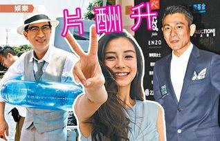 明星高片酬采访图片,高片酬背后的秘密与影响