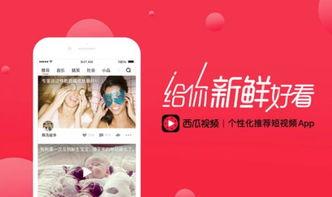 头条和西瓜视频如何创作,打造爆款副标题秘诀