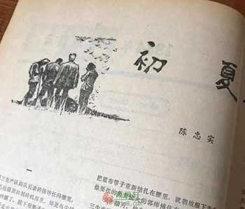 初夏吃瓜小说全文阅读,一场甜蜜的误会与成长之旅