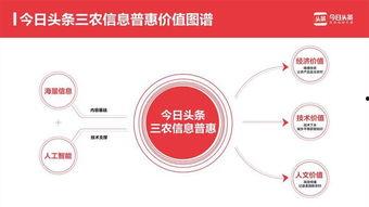 今日头条收获了哪些粉丝,揭秘热门内容背后的粉丝奥秘