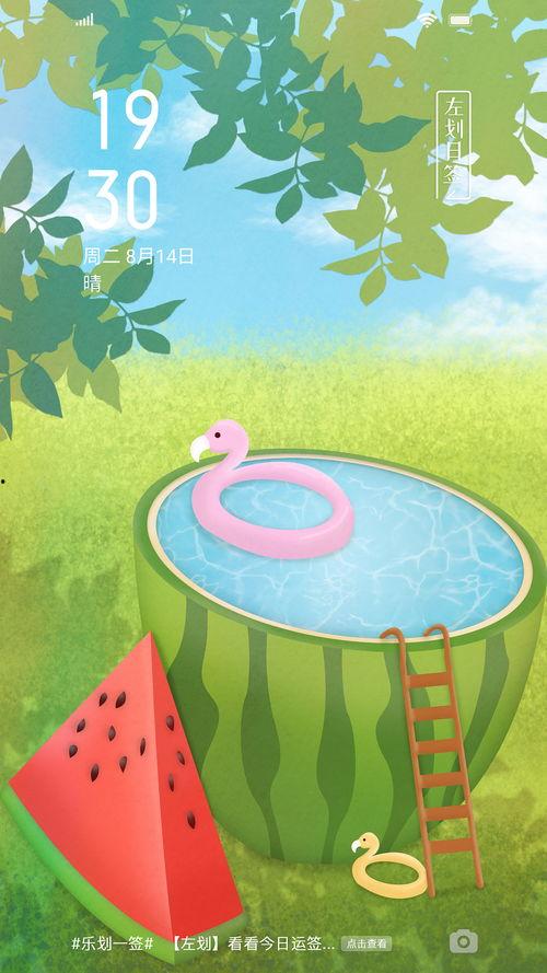 夏天吃瓜的快乐,尽享清凉甜蜜时光