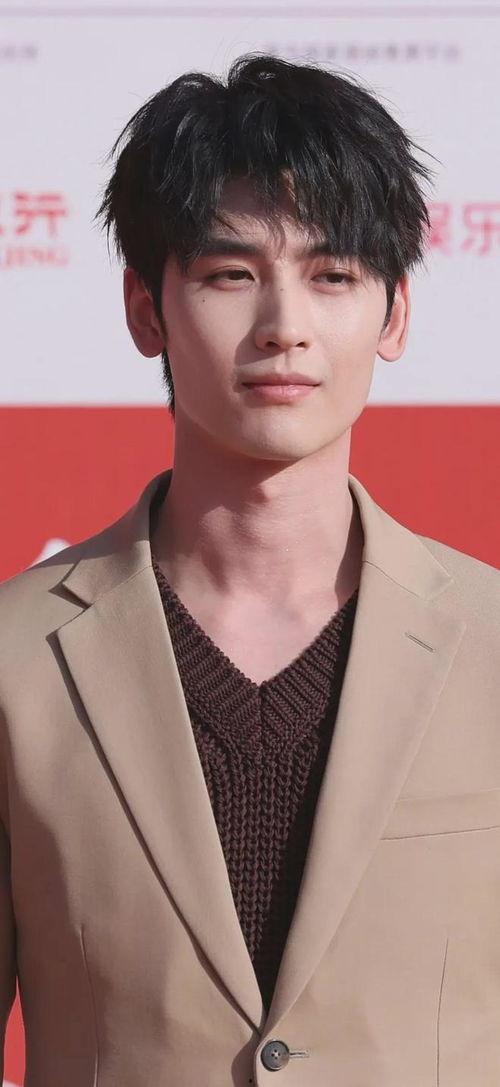 明星写真 男,捕捉青春风采的明星写真