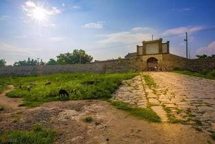 烟台莱州各镇新闻头条,民生工程进展、乡村振兴成果与地方发展动态