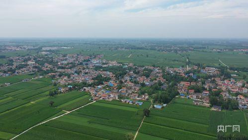 河南睢县吴楼村新闻头条,乡村振兴新篇章，特色产业助力发展