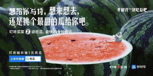 懒人吃瓜文案怎么写,轻松掌握热门话题，轻松成为话题达人