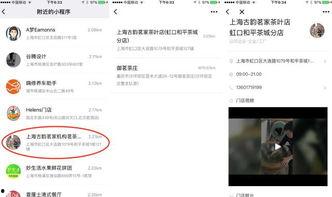 小程序独家最新爆料,小程序最新爆料，带你领略科技前沿风采