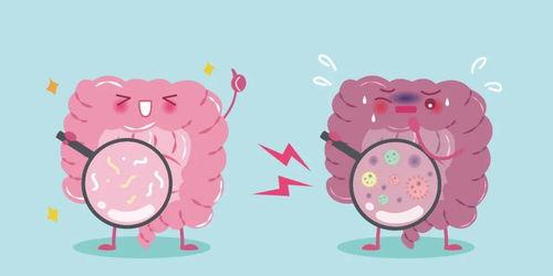 吃瓜就肠胃不舒服,揭秘肠胃不适背后的真相