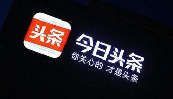 石家庄开平今日头条,最新动态与热点事件速览