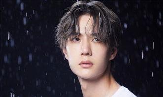 李什么烟明星,璀璨星途，烟雨朦胧