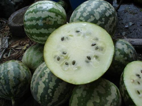 晚熟的石头瓜怎么吃,晚熟石头瓜的独特食法揭秘