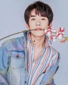 叫jackson的明星,星光璀璨的娱乐界传奇