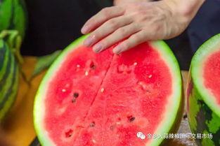 武汉大学新传吃瓜,一场“吃瓜”盛宴背后的真相