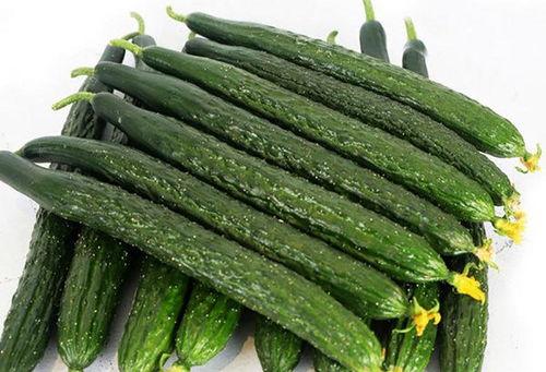 今日头条水果黄瓜价格,水果黄瓜价格波动，市民选购需谨慎