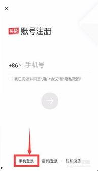 头条用户多少人发布视频,短视频盛宴来袭！”