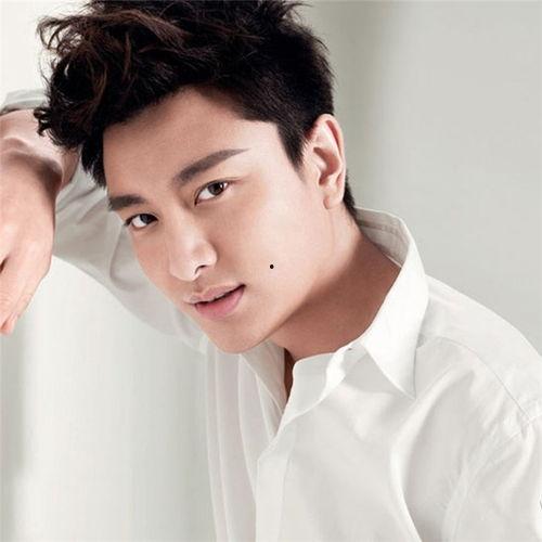 明星肖像代言报价