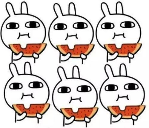 天天吃呆瓜上火不,揭秘上火背后的真相