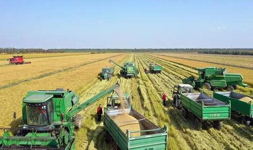 今日头条农业收割车,革新农业生产的得力助手