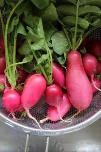 吃瓜的小萝卜,揭秘娱乐圈那些事儿