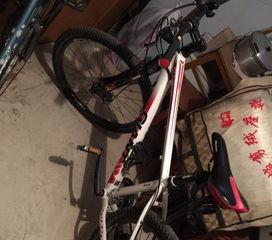 安阳自行车爆料案件最新,真相浮出水面，警方全力追查