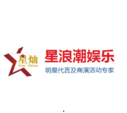 明星集团,引领行业发展的璀璨明珠