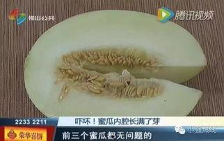 随机吃瓜20,揭秘娱乐圈背后的秘密与真相