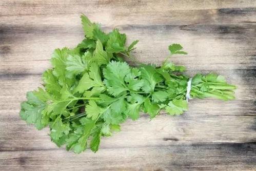 香菜爆料全过程视频,揭秘幕后真相