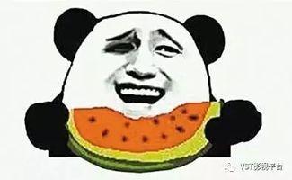 不忘吃瓜人,品味人间烟火，笑看风云变幻