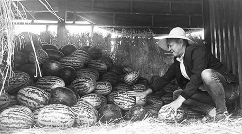 泗水吃瓜群众事件视频