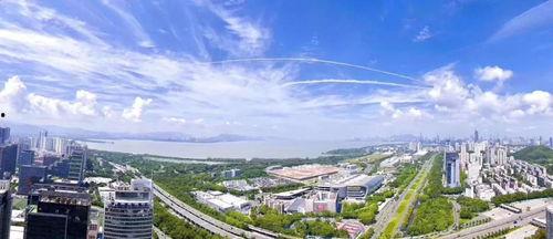 深圳红树林最新头条地址,探索自然奇观与生态保护新进展