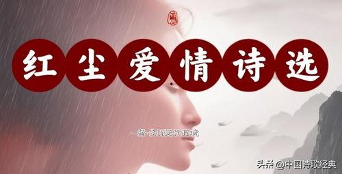 今日头条诗歌推荐率,盘点热门诗篇